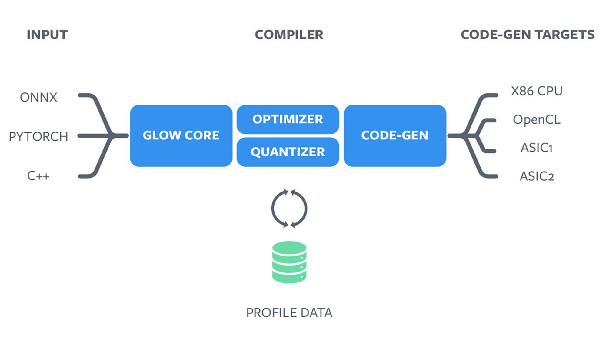 ASICs require a specialized compiler to translate the graph to instructions that execute on these accelerators. 